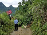 鹤峰县太平镇水田包村发生山体滑坡