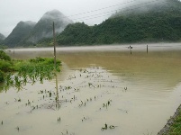 直击现场：记录鹤峰暴雨洪灾