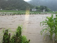 强降雨致鹤峰县受灾严重