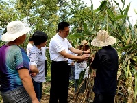 王小平：集全民之智举全县之力 扎实推进灾后恢复重建