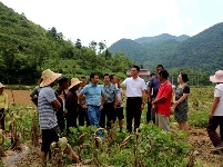 王小平：集全民之智举全县之力 扎实推进灾后恢复重建
