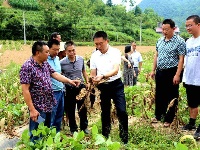 王小平：集全民之智举全县之力 扎实推进灾后恢复重建