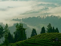 走进木耳山的那个清晨