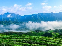 走进木耳山的那个清晨