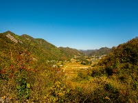 鹤峰秋色惹人醉