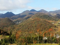 鹤峰秋色惹人醉