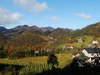 鹤峰秋色惹人醉