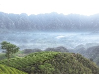 茶山美如画