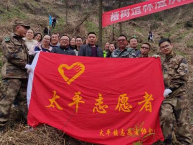 春风唤新绿 植树正当时