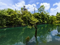 鄂西九寨沟夏日绚烂纯粹的美