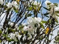 五月  登顶牛池