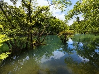 鄂西九寨沟夏日绚烂纯粹的美