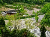 烟田——写在大地上的诗行