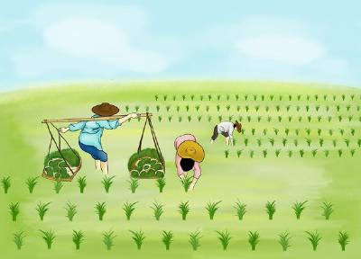 “小农机”助力插秧季