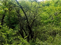 五月  登顶牛池