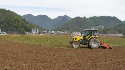 恩施鹤峰：4.1万亩油菜播种忙 农机农技助秋播