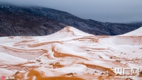 千年难遇！全球最热撒哈拉沙漠时隔37年再降雪