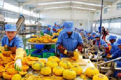 2016年荆门农产品加工业进一步增长