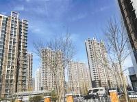 北京拟规范自住房出租行为 3年内房屋转出家庭禁买自住房
