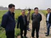 湖北省农科院植保土肥研究所10名专家来荆落实国家重点研发计划项目