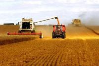 粮食生产功能区和重要农产品生产保护区将划定