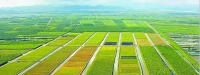 在国家划定的10亿亩“两区”种田,农民将获得这些利好!