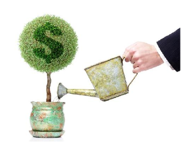 市林业局力促林业中长期贷款 共解企业融资瓶颈