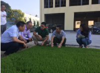 省推广总站罗昆站长检查指导荆门市秸秆生物基质环保育秧盘示范推广情况