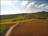 京山鸟语花香文化旅游度假区规划接受专家评审