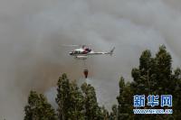 葡萄牙森林火灾死亡人数上升至62人