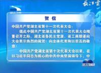 V视 | 各民主党派湖北省委员会、湖北省工商联向中国共产党湖北省第十一次