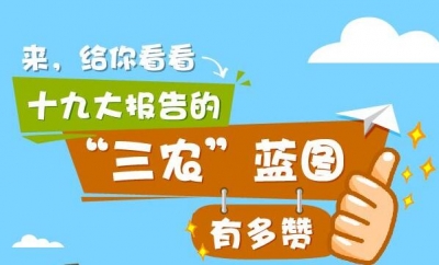 图解丨来，给你看看十九大报告的“三农”蓝图有多赞 