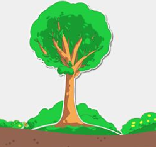 如何为雪后苗木疗伤？