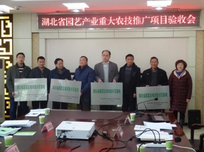 荆门被授予“湖北省蔬菜区域试验示范基地”