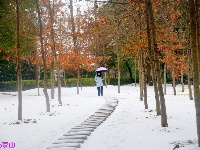 京山雪景分外妖娆