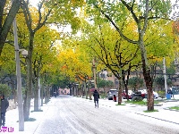 京山雪景分外妖娆