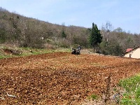 京山丨春回大地，好一幅农忙春耕图！