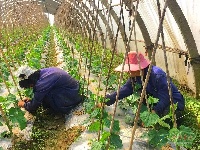 京山丨春回大地，好一幅农忙春耕图！