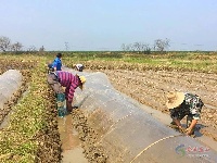 京山丨春回大地，好一幅农忙春耕图！