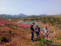 京山丨春回大地，好一幅农忙春耕图！