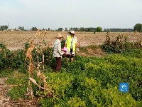 荆门：禁烧秸秆宣传到田间地头 