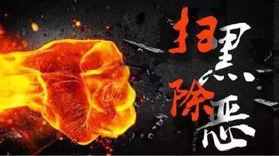 钟祥打掉两股农村黑恶势力