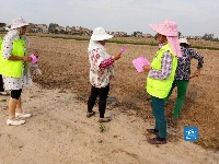 荆门：禁烧秸秆宣传到田间地头 