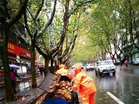 荆门丨为风雨中坚守的环卫工人点赞