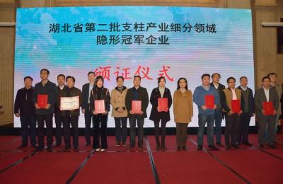 全省产学研融合作对接系列活动——支柱产业细分领域隐形冠军企业专场在武汉举办