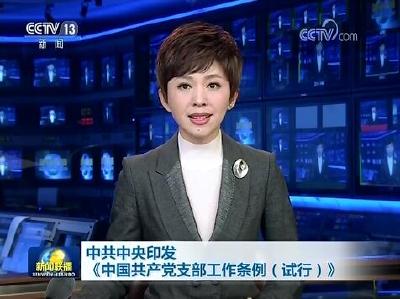 中共中央印发《中国共产党支部工作条例（试行）》
