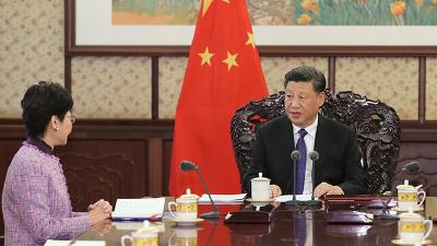 习近平会见来京述职的林郑月娥