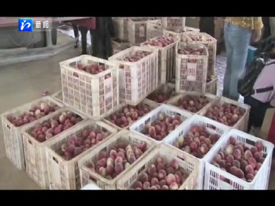 屈家岭鲜桃销售火爆 首批订单达15万斤 