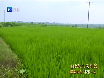 精准扶贫 不落一人丨官垱镇大文村姚天武：幸福坝上谋“幸福”