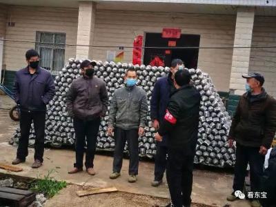 众志成城抗疫情丨马河镇：防疫不误农时，春耕生产有序进行